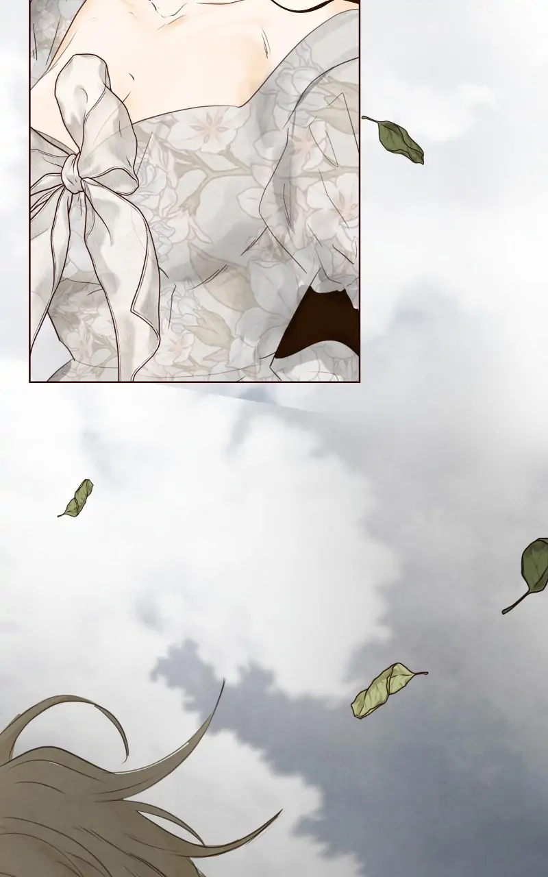 Page (52)